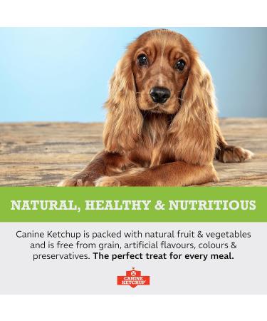 Canine Ketchup Peanut Flavor - Buy Online on GoSupps.com