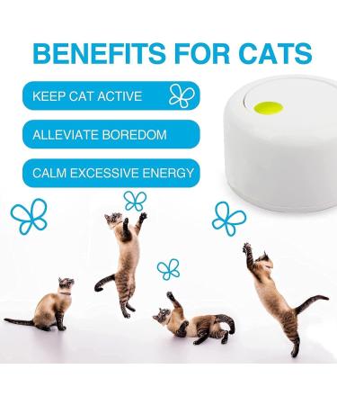 All For Paws Interactive Motion-Activated Cat Butterfly Toy - Flutter Bug Teaser Toy with Rotating & Flashing Butterflies - Buy Online on GoSupps.com