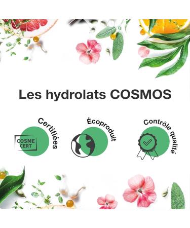 VOSHUILES - Hydrolat de Tea Tree COSMOS - Eau Florale Arbre Th Purifiante et Apaisante pour Soins de la Peau et Cheveux - 100% Pur et Naturel - 200 ml Tea Tree BIO 200 ml (Lot de 1) - Buy Online on GoSupps.com