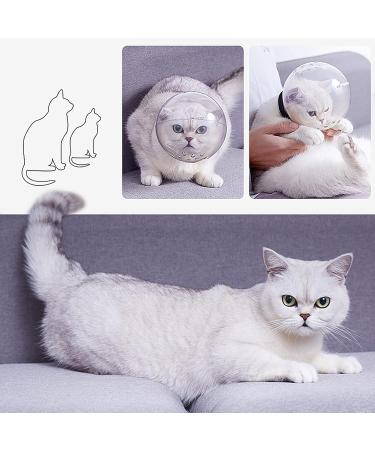 Shop Breathable Transparent Maulk rbe for Cats - Anti-Bite & Anti-Lick Protection | Premium Pet Care Masks - Buy Online on GoSupps.com