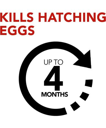 Raid Flea Killer Carpet & Room Spray, Kills hatching eggs for up to 4 months, 16 Oz - Buy Online on GoSupps.com