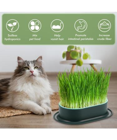 Hejo 2 PCS Cat Grass Seed Tray Plant Bowls for Cat Grass Catnip Cat Grass Box with 1 Plastic Scissors Plastic Soil Free Cat Plant Planting Box for Planting Cat Grass - Buy Online on GoSupps.com