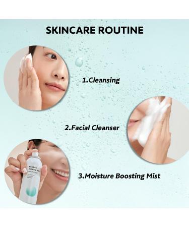 Vacure:treat Facial Spray with Niacinamide, Moisturize Boosting Mist for Brightening Skin, Restores Elasticity, Anti Aging, All Skin Types, Safe Formula, Non-Comedogenic, 4 Fl. Oz (120ml), 1 Count - Buy Online on GoSupps.com