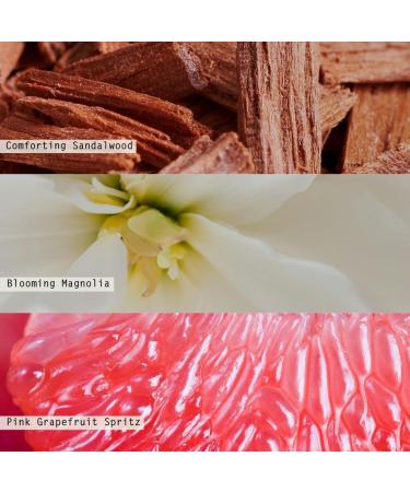 Beautifully Done Essentials Paloma Petal Scented Candle Refill - Premium International Shipping Available - Buy Online on GoSupps.com