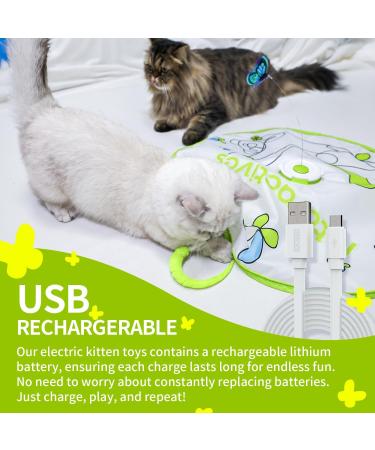 All For Paws 2 in 1 Automatic Cat Toys - Hide & Seek Flutter Bug Spinner for Indoor Cats - Buy Online on GoSupps.com