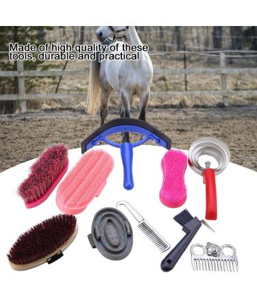 Professional 10-Pc Vier Horse Brush Set - Equestrian Grooming Kit for Horse Cleaning & Care - Buy Online on GoSupps.com