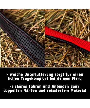 Premium Horse Delinis Halter for Warmblood & Thoroughbred - Adjustable Tear-Resistant Perfect for Pasture & Stable (Red Full Size) - Buy Online on GoSupps.com