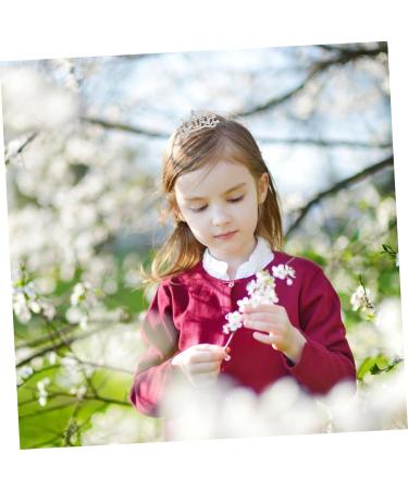 FRCOLOR Tiara Crown for Children Girls with Combs Children's Tiara Mini Comb Combs for Children Hair Comb with Rhinestone Girls Combs for Prom Children's Tiara Girls Combs Small Crown Mittel  - Buy Online on GoSupps.com