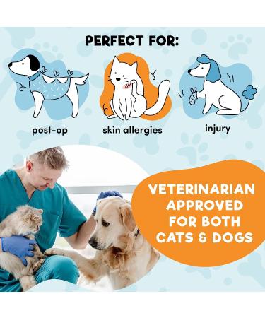 BENCMATE Inflatable Recovery Collar for Dogs & Cats - Medium Blue, Neck 8-12 - Soft Pet Cone that Doesn't Block Vision - Buy Online on GoSupps.com