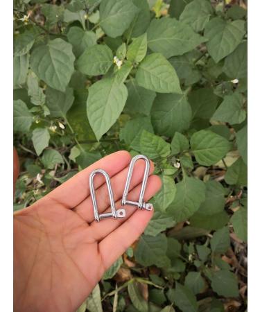 JY-Marine Long D Shackle Stainless Steel Shackle Load Clamp for Chains Wirerope Lifting Paracord Outdoor Camping Survival Rope Bracelets 5/32 Inch 4mm Marine Grade 2pk - Buy Online on GoSupps.com