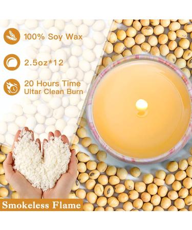 Fragrance Candles Gift Set for Women - 12 Pack Soy Wax Candles | 240 Hours of Scented Bliss - Perfect for Valentine's Day Mother's Day Birthdays & Christmas - Buy Online on GoSupps.com
