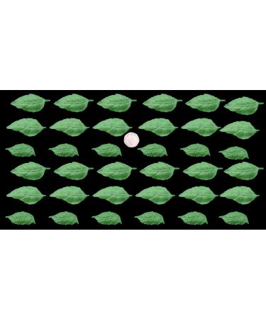 36 x Edible 3D Large Mixed Green Leaves Set 4 Flowers icing toppers cake cupcakes decorations (Green)