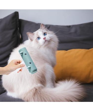 Shop Teksome Tool for Removing Animal Hair | Effective Pet Hair Remover & Scooter | Eco-Friendly Cleaning Agents & Removable Storage Box - Buy Online on GoSupps.com