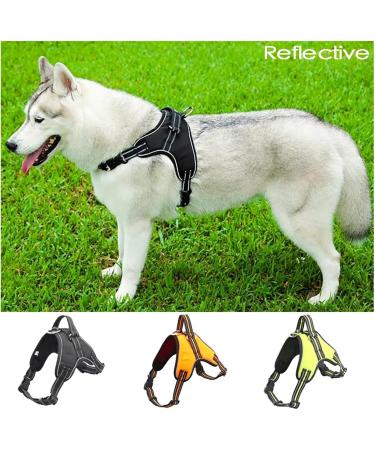 Tailup Adjustable Reflective Dog Harness for Small & Medium Dogs - Light Green (Size S) | Perfect for Puppies & Daily Walks - Buy Online on GoSupps.com