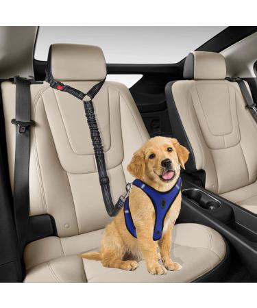 Dog Safety Harness | Car Seat Belt for Small & Medium Dogs | Puppy Accessories in Red - International Shipping - Buy Online on GoSupps.com