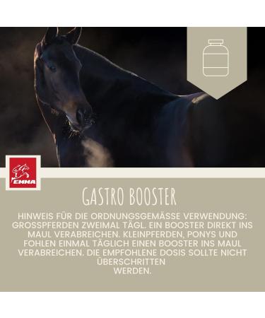 Gastrointestinal Paste Probiotics Brewer's Yeast Horse I Vitamin EI Yeast Culture Intestinal Flora Gastrointestinal - Vitamin I After Colic Skimmer Diarrhea Metabolism Horse 2 x 30 ml - Buy Online on GoSupps.com