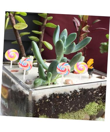 FUNOMOCYA Pack of 20 Rainbow Swirl Lollipops Candy Decorations Random Style - Buy Online on GoSupps.com