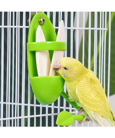 Youngsay 4-Piece Sepia Shell Bracket Set | Portable Plastic Bowls for Birds | Ideal for Serving Fruits & Vegetables (Green) - Buy Online on GoSupps.com