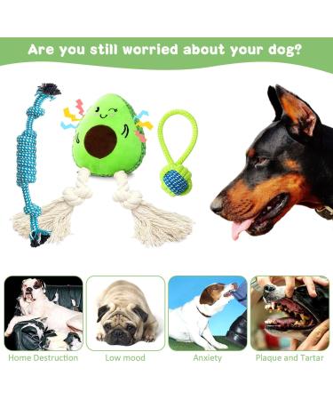 Buy Aeitpet Green Avocado Dog Toys - Squeaky Plush & Crinkle Paper for Large & Small Dogs - Buy Online on GoSupps.com
