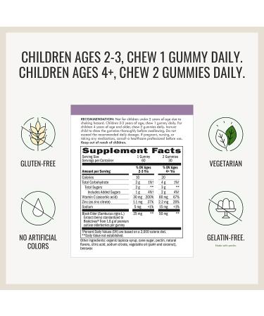 Nature's Way Sambucus Gummies for Kids - Standardized Elderberry, 60 Count - Buy Online on GoSupps.com