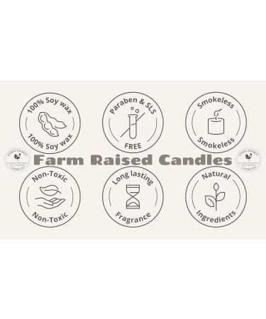Warm Sugar Cookies Candle - 16oz | 80+ Hour Burn | Handcrafted USA Farmed Soy Wax | Gift Ready Mason Jar - Plant-Based & Natural - Buy Online on GoSupps.com