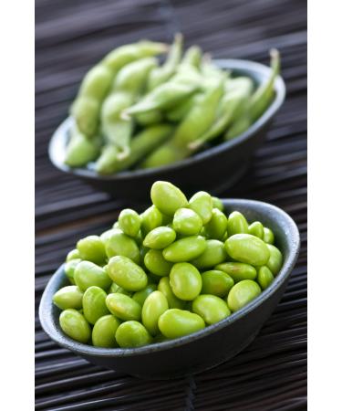 10 Seeds Soy Bean Edamame Organic Beans Soybeans Garden Plants Vegetables