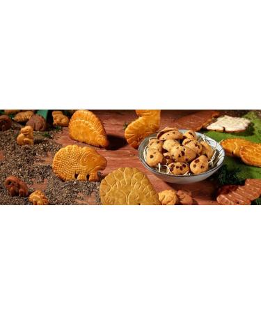 Galletas Artiach Dinosaurus De Cereales Con Vitaminas 185gr - Buy Online on GoSupps.com