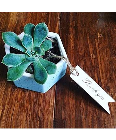 Thank You Tags  G2PLUS 100 PCS 'Thank You' Printed Christmas Tags  Paper Hang Tags for Wedding Favors Paper Gift Tags White Thank You Tags - Buy Online on GoSupps.com