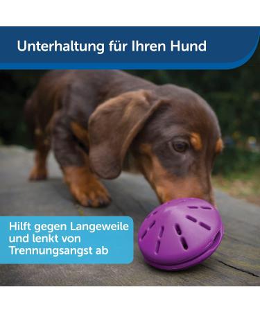 PetSafe Twist-n-Treat Dog Toy | Fillable Treat Toy | Customizable Dispensing & Dishwasher Safe | Purple L - Shop Now for International Shipping! - Buy Online on GoSupps.com
