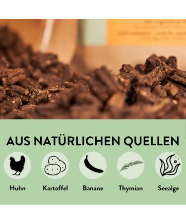 PUJA Grain Free Dry Dog Food with Chicken Banana Potatoes and Thyme Premium Food Grade 1kg Suitable for All Dogs - Buy Online on GoSupps.com