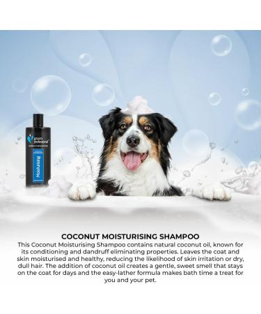 GROOM PROFESSIONAL Coconut Moisturising Dog Shampoo - Soothing & Nourishing 4L - Buy Online on GoSupps.com