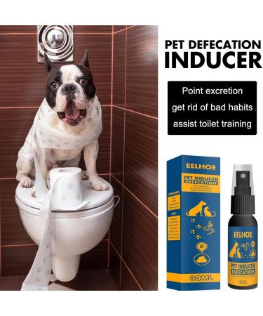 Go Here Spray for Dogs 30ml No Pee Spray for Dogs Puppy Supplies for Training Dogs Removing Stains and Odors Rianpesn - Buy Online on GoSupps.com