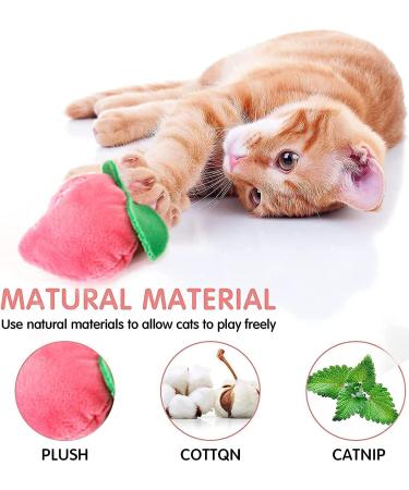 Set of 10 Catnip Toys for Indoor Cats | Interactive & Squeaky Kitten Supplies for Dental Health | Perfect Gift for Cat Lovers - Buy Online on GoSupps.com