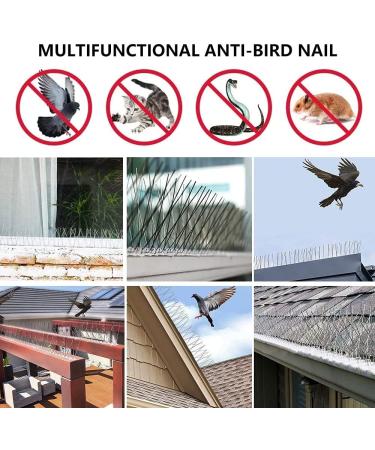 Abizarch Bird Spikes Deterrent Anti-Perch Pigeons Birds Cats Repeller Pest Control Wall Fence Garden Security ZHAZHAMO(one) - Buy Online on GoSupps.com