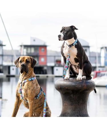 Max & Molly H-Harness - Blue Ocean | Premium No-Pull Harness for Dogs - International Shipping Available - Buy Online on GoSupps.com