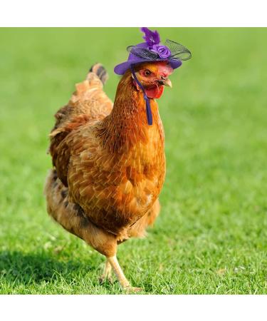 Elastic Chicken Hats for Hens - Set of 6 Funny Accessories for Rooster, Duck, Parrot - Stylish Poultry Costume - Buy Online on GoSupps.com