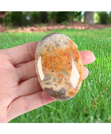 Xiannvxi 2.4'' Crazy Lace Agate Palm Stone | Natural Polished Crystal for Worry Stones Massage & Reiki Healing - Buy Online on GoSupps.com
