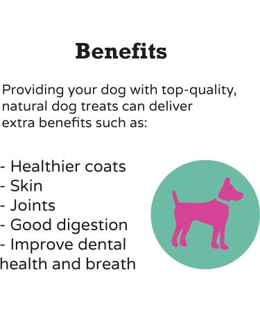 Drool Pet Products Dog Food Pate Twin pack | 2 x 400g Premium Pate | Dog Pate Tube 1 x Horse Pate 1 x Rabbit Pate - Buy Online on GoSupps.com