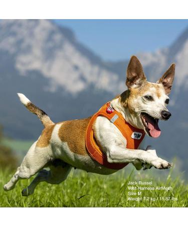 Buy Vest Harness Air-Mesh Gray 3XS - No Curli D-Ring Buckle - Perfect for International Shipping - Buy Online on GoSupps.com