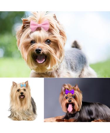 KMZ 30Pcs Mixed Colors Dog Hair Bows with Elastic Rubber Bands Cute Dog Grooming Bows Puppy Hair Accessories for Long Hair Pet Dogs Cats - Buy Online on GoSupps.com