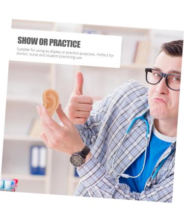 Silicone Ear Model - 3D Major Cyborg Presentation Tool for Ear Training and Piercing Practice - Buy Online on GoSupps.com