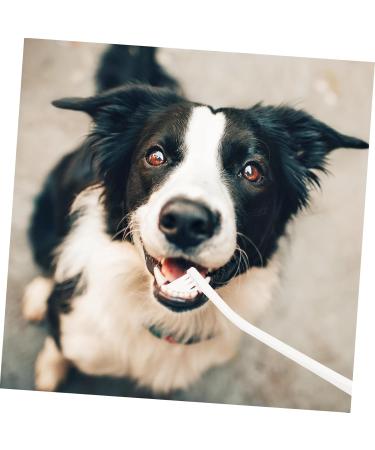 Beavorty 2pcs Home Oral Care Cleaning Dog Tooth Pet Manual Pets Supplies Soft-bristle Portable 1 count (Pack of 1) White - Buy Online on GoSupps.com