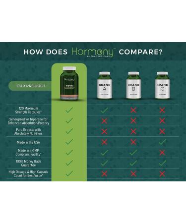 Trifala Capsules: Maximum Potency for Digestive Support, Body Infection Defense, and Improved Blood Circulation - Buy Online on GoSupps.com