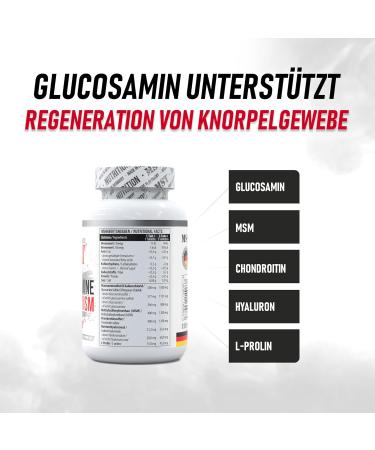 GLUCOSAMINE - CHONDROITIN - MSM + Hyaluronic Acid + L-Proline | 90 Tablets | STD NUTRITION BERLIN | - Buy Online on GoSupps.com