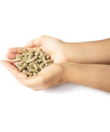 ParaSym+ - Aids Metabolic Activity | Assists Healthy Sleeping Patterns | Supports Cognitive Function | Nervous System Support | 30 Day Supply - Buy Online on GoSupps.com