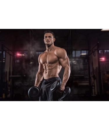 Buy Creapure Creatine Capsules - Vegan High-Dose 240 Caps - 750mg Pure Creatine Monohydrate from Alzchem Germany - International Shipping Available - Buy Online on GoSupps.com