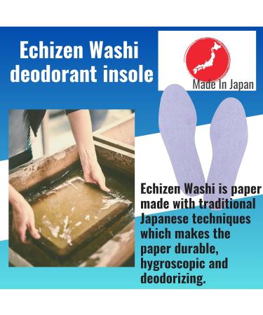 Buy Japanese Traditional Washi Deodorant Insoles - Disposable Sweat Absorbent Pack of 5 Pairs | Made in Japan - Buy Online on GoSupps.com
