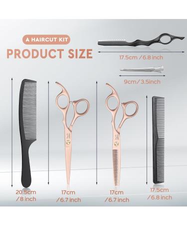 JASON Professional Hairdressing Scissors Set - 6.5 inch Hair Cutting & Thinning Scissors, Rose Gold Hairdresser Set - Buy Online on GoSupps.com