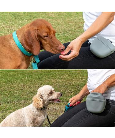 Ki Wednesday Silicone Food Pouch for Dogs - Leak-Proof Snack Pocket with Magnetic Closure for Training - International Shipping Available - Buy Online on GoSupps.com