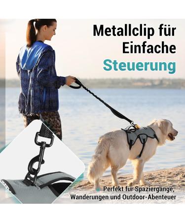 Rabbitgoo Break-Proof Dog Harness for Medium Dogs - Adjustable Breathable Padded Vest with Handle & Anti-Train Safety - Gray XL (1 Pack) - Ship Internationally - Buy Online on GoSupps.com